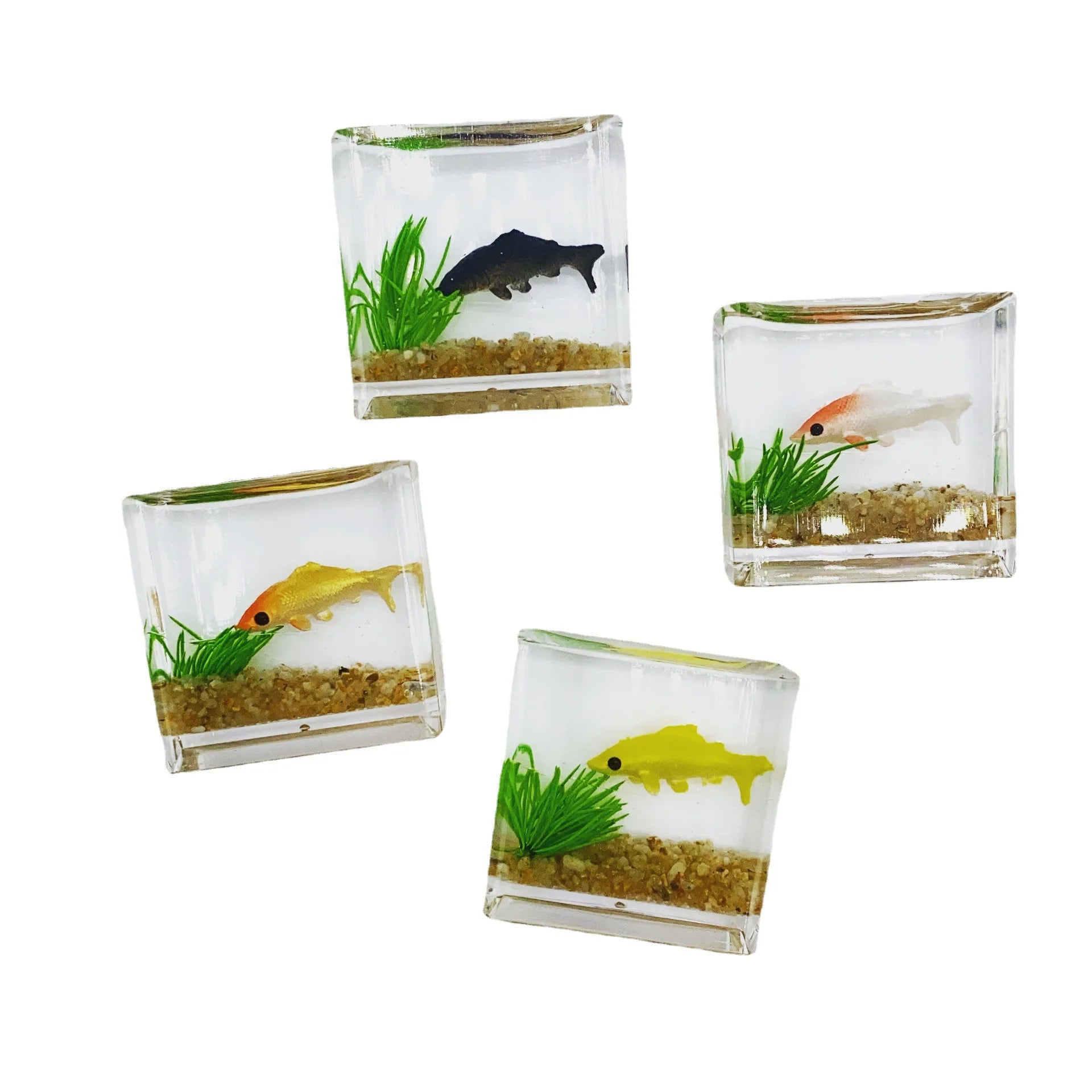 Miniature Fish Tank