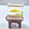 Miniature Fish Tank