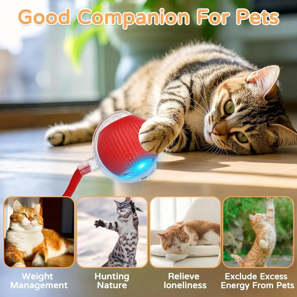Pet Interactive Toy