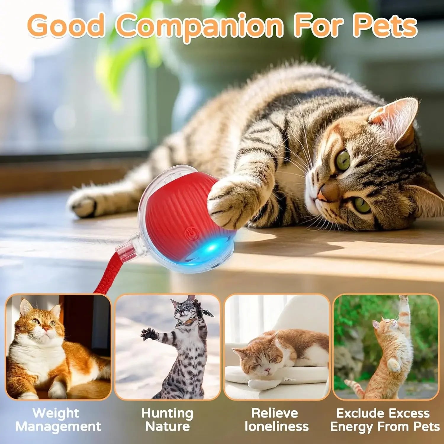 Pet Interactive Toy