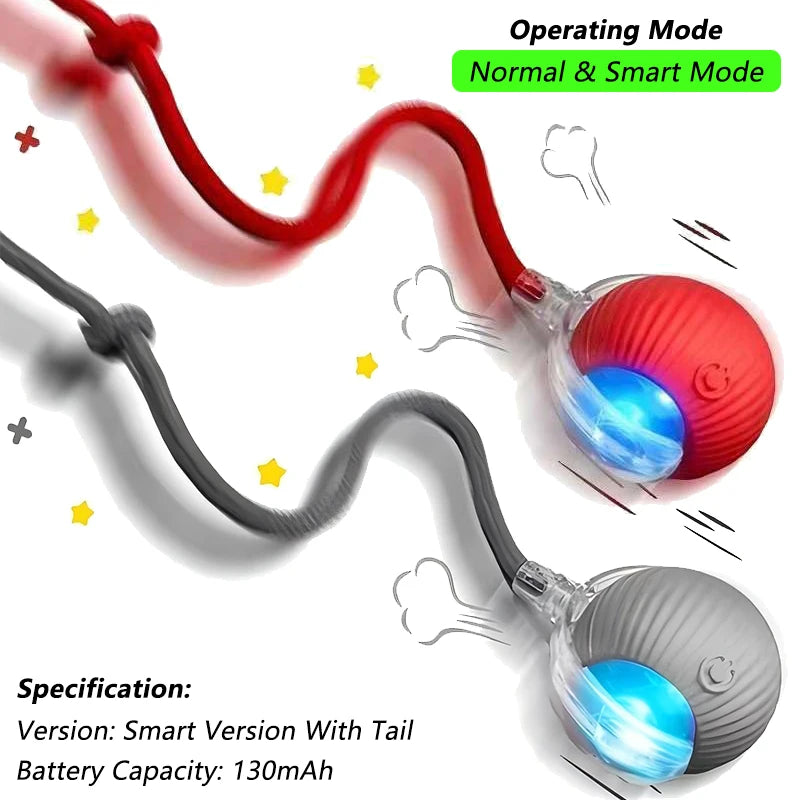 Pet Interactive Toy