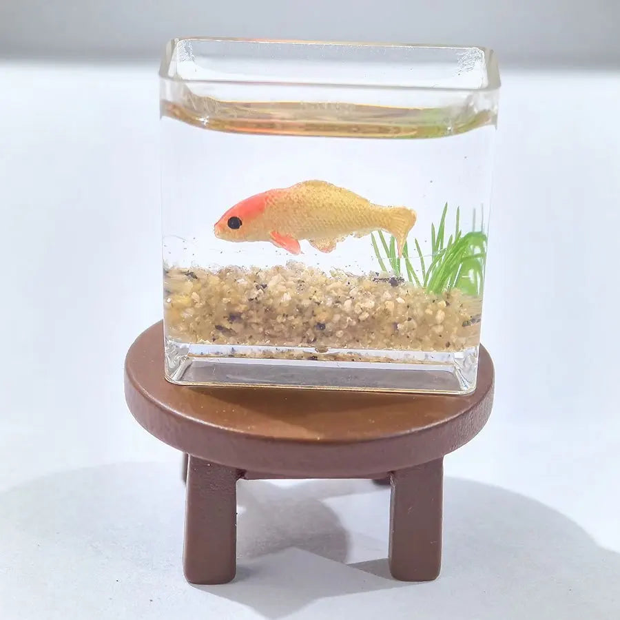Miniature Fish Tank