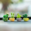 Miniature Cactus