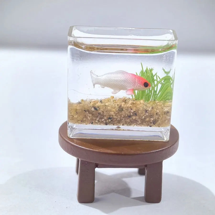 Miniature Fish Tank