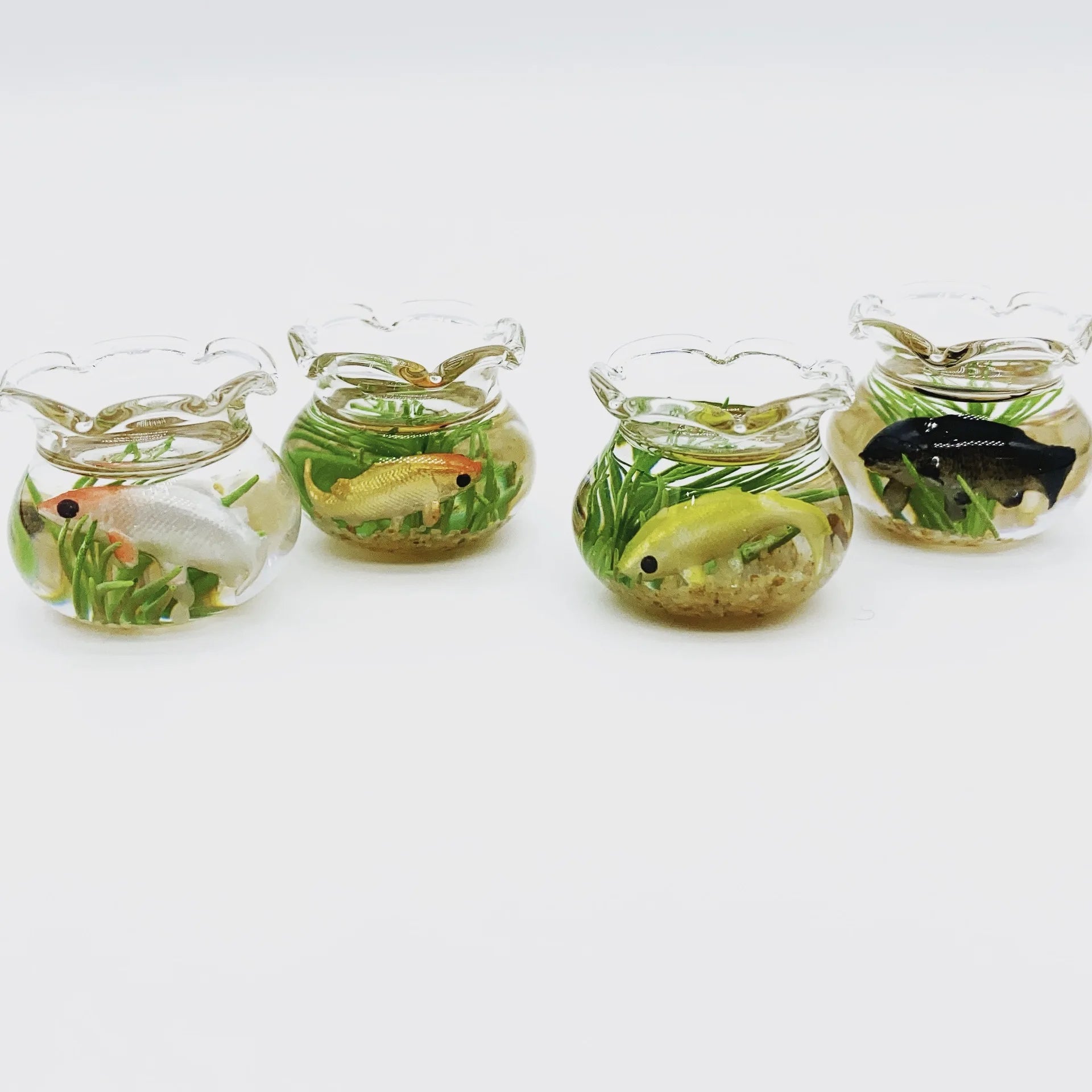 Miniature Fish Tank