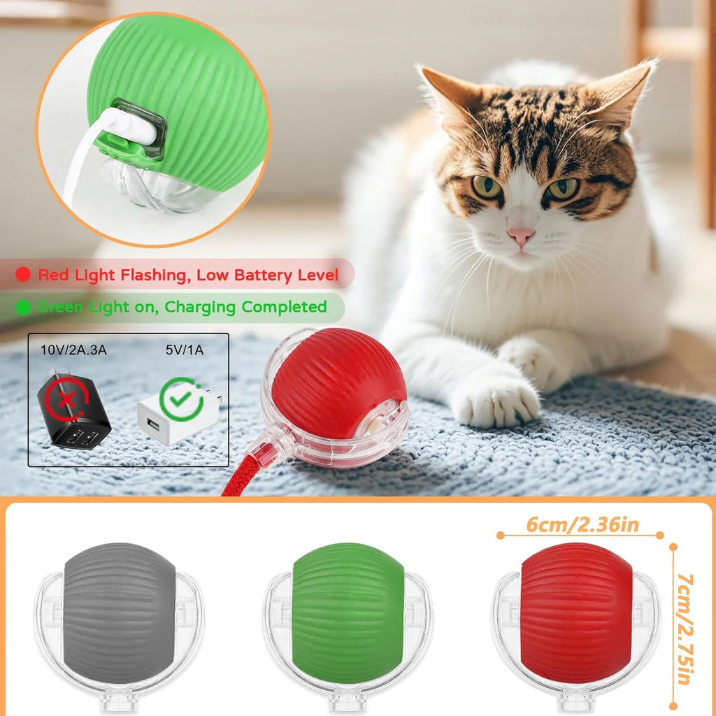 Pet Interactive Toy