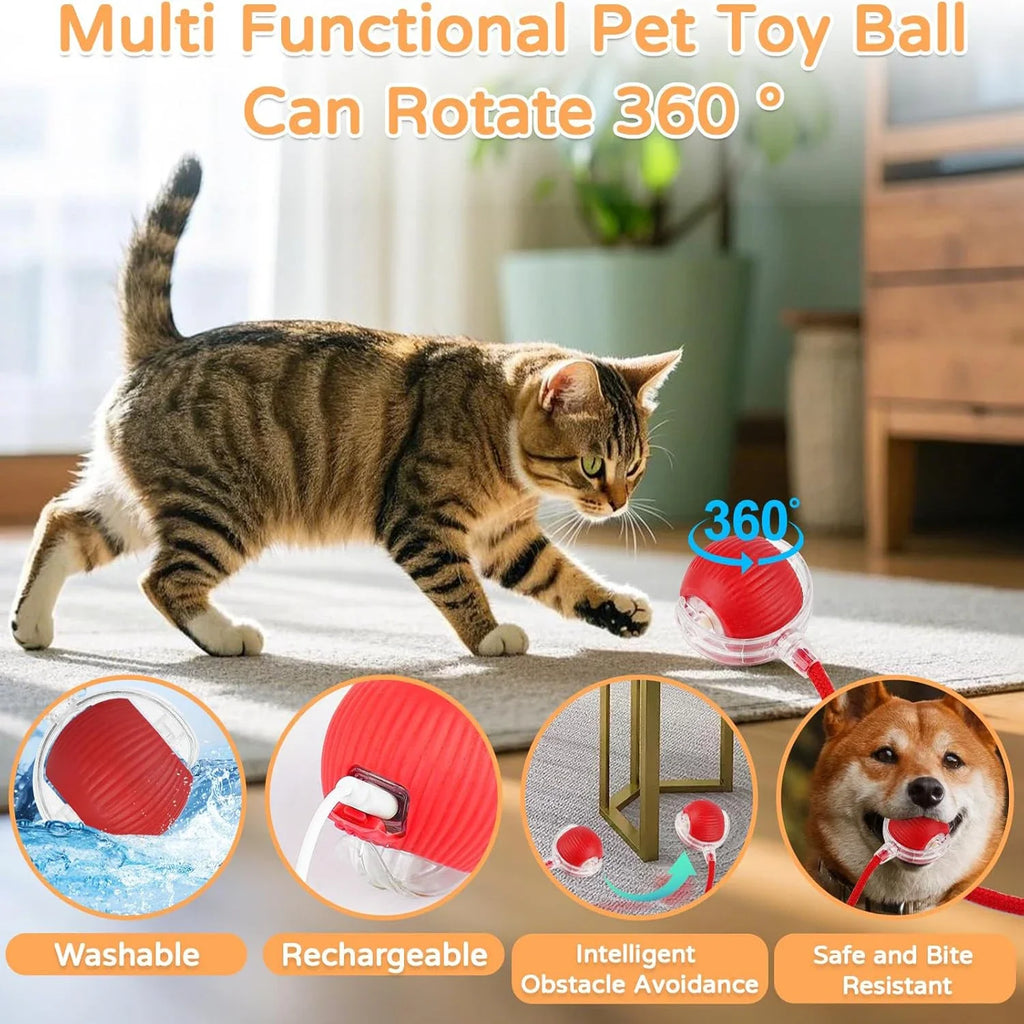 Pet Interactive Toy