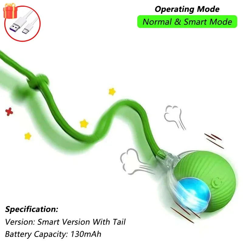 Pet Interactive Toy