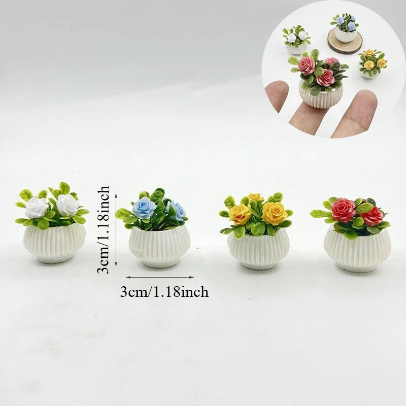 Miniature Rose Potted Plant