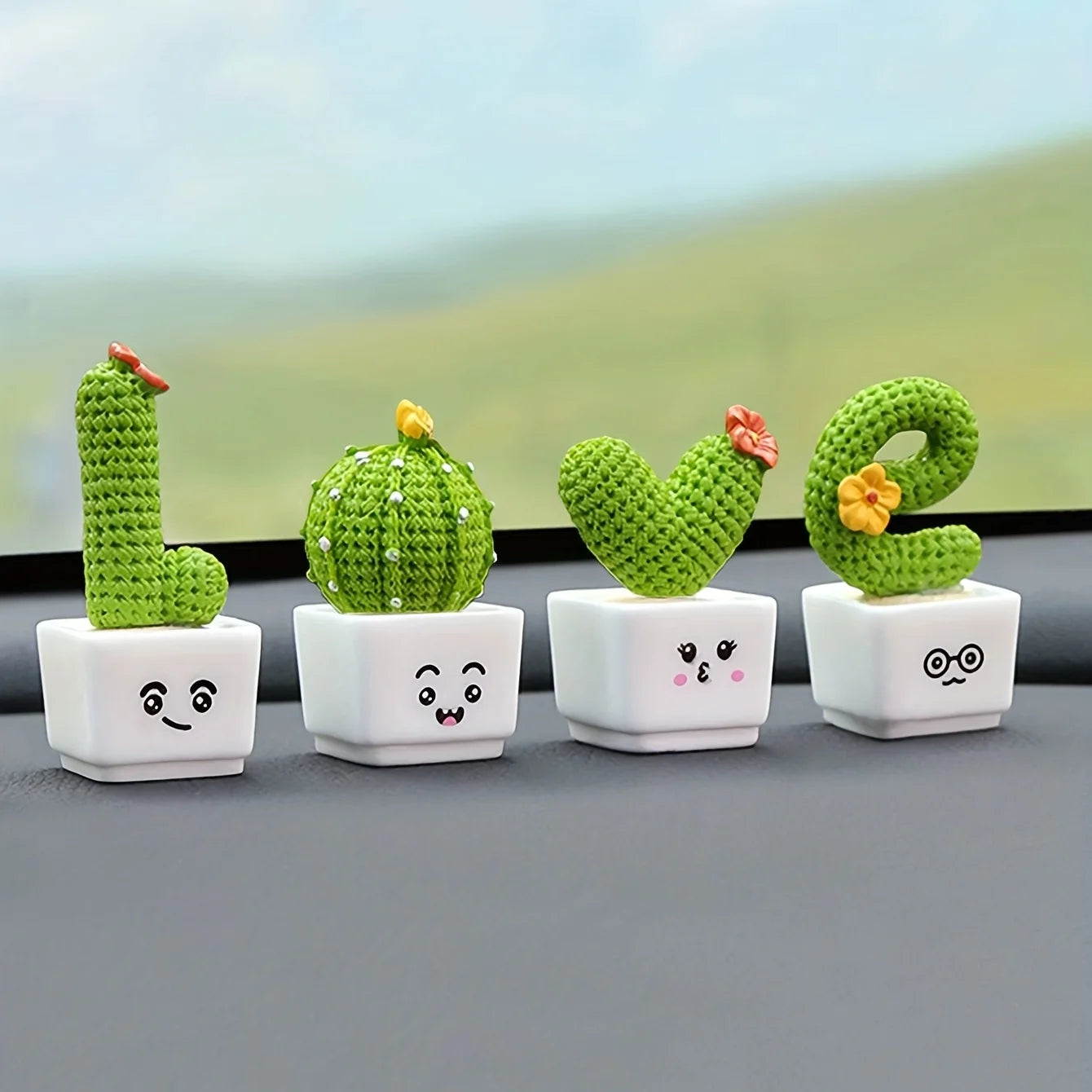 Miniature Cactus